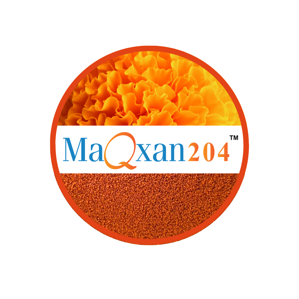 MaQxan 204™ granules, marigold-derived Lutein & Zeaxanthin